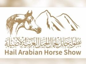 إغلاق التسجيل في بطولة حائل الدولية لجمال الخيل العربية الأصيلة