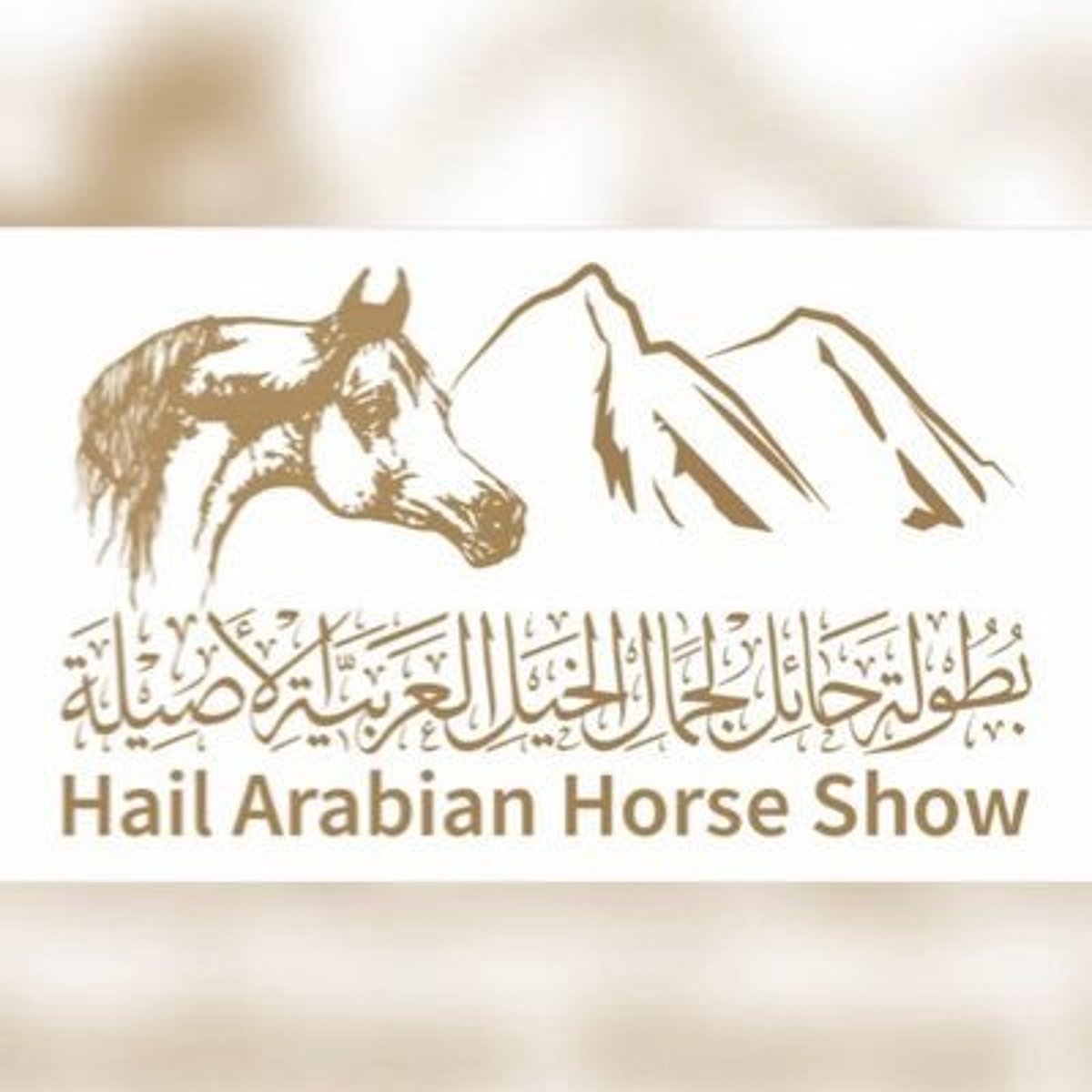 إغلاق التسجيل في بطولة حائل الدولية لجمال الخيل العربية الأصيلة