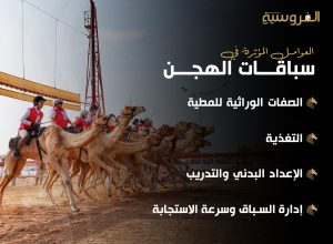 العوامل المؤثرة في سباقات الهجن