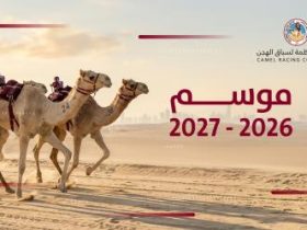 الشيحانية تستعد لانطلاق السباق المحلي الرابع للهجن مطلع نوفمبر