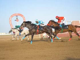 ثمانية أشواط في سباق الخيل الثاني بمضمار الرحبة في سلطنة عُمان
