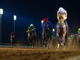 منافسات قوية ومثيرة في افتتاحية موسم سباقات الرياض