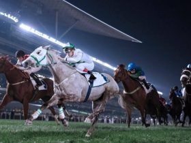 «إتش إم الشاهين» يضع الإمارات في صدارة كأس قطر العالمي للخيل العربية