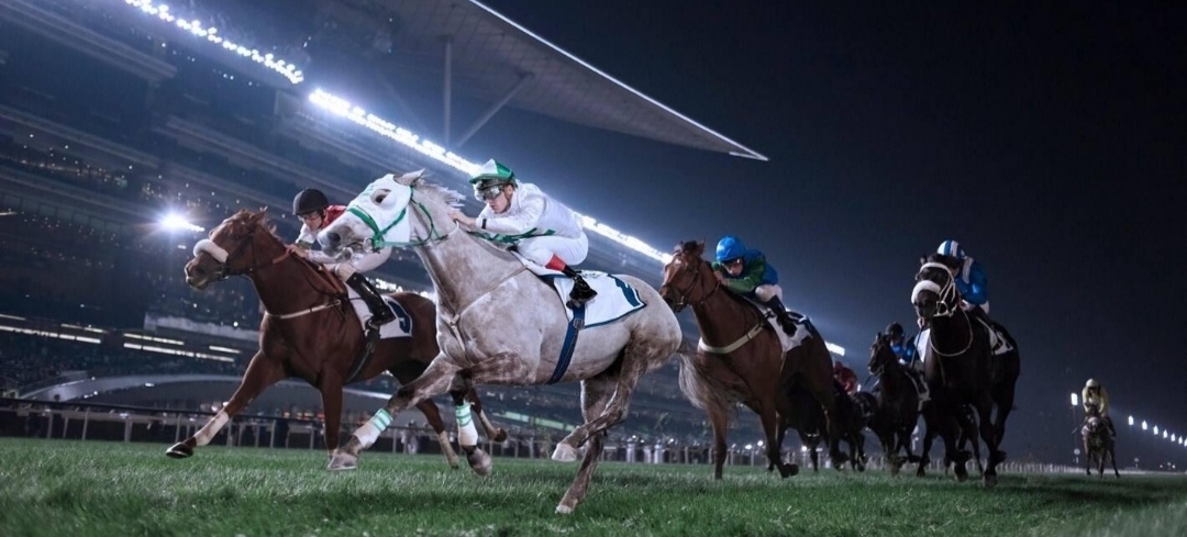 «إتش إم الشاهين» يضع الإمارات في صدارة كأس قطر العالمي للخيل العربية