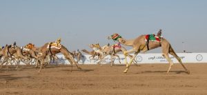 تشكل أشواط الرموز محطة مهمة في المنافسة