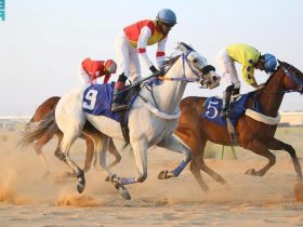جانب من سباقات الخيل في ميدان فروسية نجران، الذي يبحث فرصًا جديدة لتطوير قطاع الفروسية والاستثمار فيه