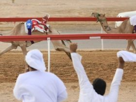 «الظبي» يسجل أسرع توقيت في منافسات الإيذاع بمهرجان العين للهجن