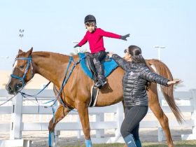 من ركوب الخيل إلى التأهيل: مبادرة جزائرية تفتح مساحة جديدة للأطفال المصابين بالتوحد والأمراض النادرة