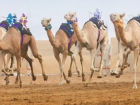 «ود» تحسم كأس الثنايا.. و«السريع» يخطف بندقية القعدان في ختام مهرجان العين