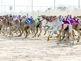 «قيادة» تتصدر سباقات الحول في مهرجان العين وتسجل الزمن الأسرع