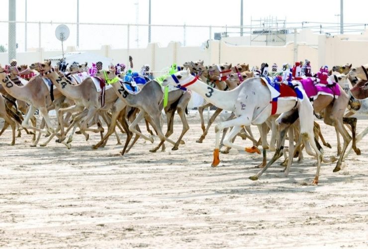 «قيادة» تتصدر سباقات الحول في مهرجان العين وتسجل الزمن الأسرع