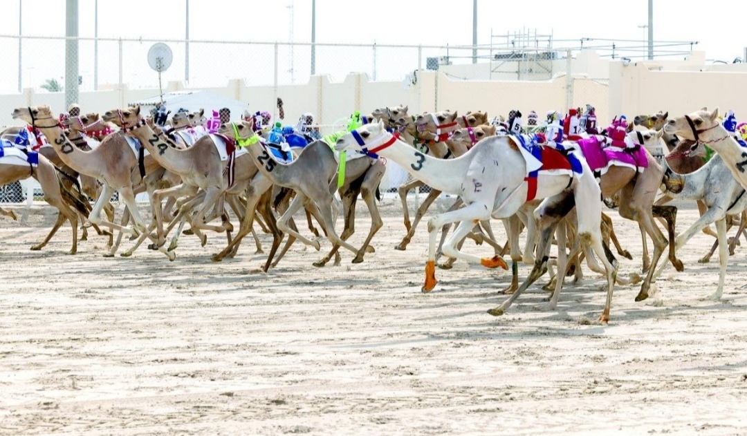 «قيادة» تتصدر سباقات الحول في مهرجان العين وتسجل الزمن الأسرع