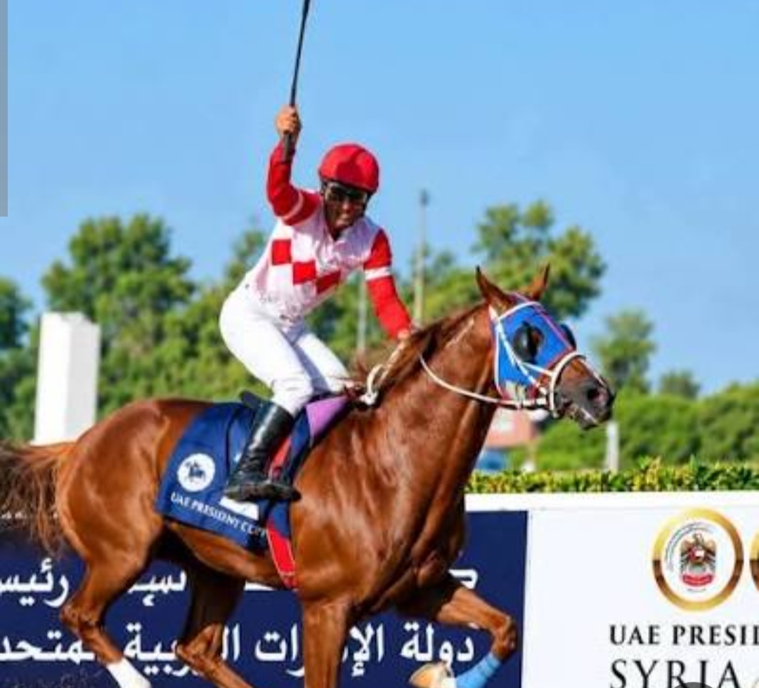 توج الجواد حبيب الكتب بكأس رئيس الدولة في المحطة السورية
