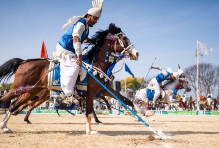 التقاط الأوتاد.. مهارة فرسان تحولت من ميادين القتال إلى المنافسات الدولية