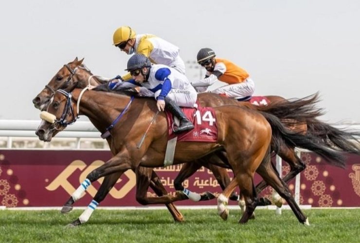 كأس الغارية يفتتح موسم الخيل القطري بأجندة تنافسية واسعة