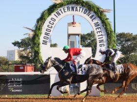 المغرب يعزز حضوره الدولي بترقية الجائزة الكبرى للملك محمد السادس للخيول العربية