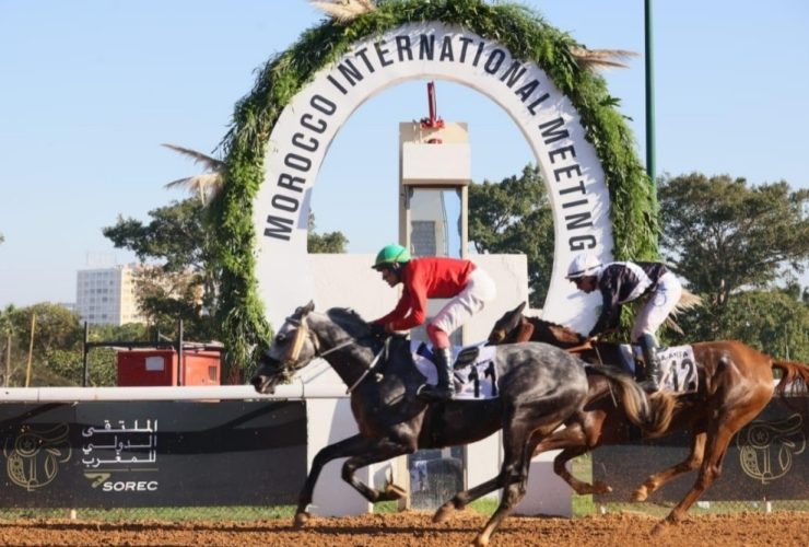 المغرب يعزز حضوره الدولي بترقية الجائزة الكبرى للملك محمد السادس للخيول العربية