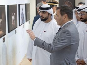 مصورون عرب يوثقون جمال الخيل والتراث في جائزة الشيخ منصور بن زايد