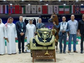معرض الفرس بالجديدة يعزز مكانة المغرب في مسابقات جمال الخيول العربية