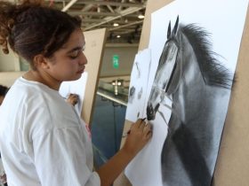 ست فتيات مغربيات يحصدن جوائز رسم الخيول في معرض الجديدة