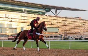 ارتفع عدد الخيول المشاركة في التجريبي الثالث إلى 88