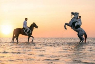 خيول جدة تلتقي البحر عند الغروب في مشهد يجمع الفروسية وجمال الساحل