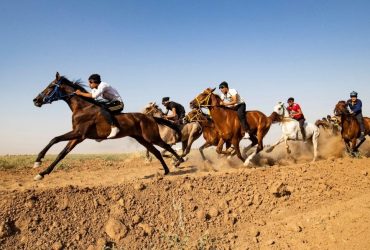 80 فارساً يجتمعون في الحسكة لإحياء تقاليد الفروسية السورية