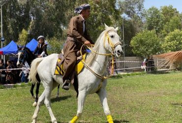 أربيل تستضيف مهرجاناً للخيول الكردية بمشاركة 25 حصاناً