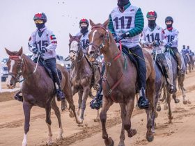 بوذيب تطلق موسم القدرة بسباقي العين الدوليين لمسافتي 100 و120 كيلومتراً