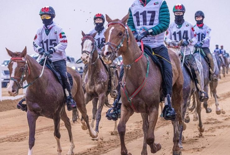 بوذيب تطلق موسم القدرة بسباقي العين الدوليين لمسافتي 100 و120 كيلومتراً