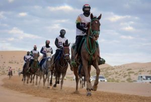 يتضمن برنامج بوذيب للموسم الجديد سباقات دولية ومحلية وتأهيلية.