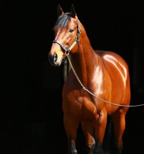 American Pharoah
