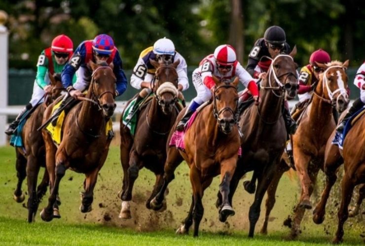 فحول سباقات العشب في 2026.. صراع الأرباح يكشف قوة خطوط الإنتاج