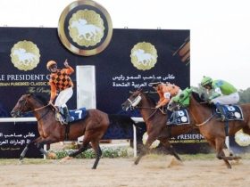 بنغازي تستضيف كأس رئيس الدولة للخيول العربية الأصيلة