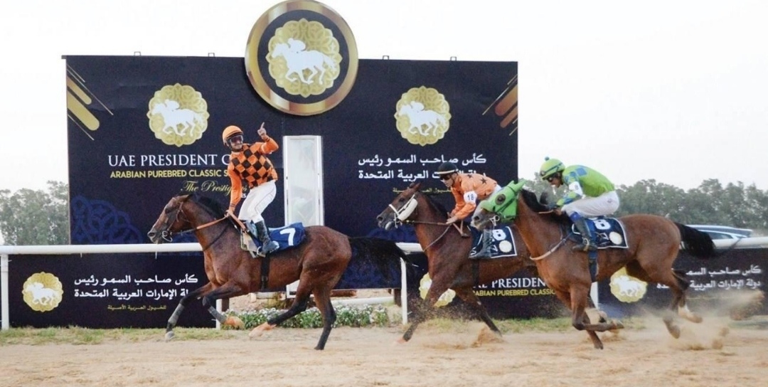 بنغازي تستضيف كأس رئيس الدولة للخيول العربية الأصيلة