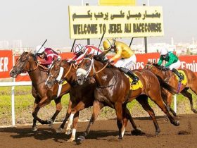 جبل علي يفتتح موسمه الـ35.. 62 خيلاً تتنافس على 624 ألف درهم