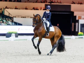 هيمنة دنماركية على منافسات ترويض الخيول في بطولة إندور فريزلاند بهولندا