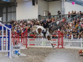 نيوزيلندا تطلق فعاليات Equifest 2026 بمشاركة واسعة من مجتمع الفروسية