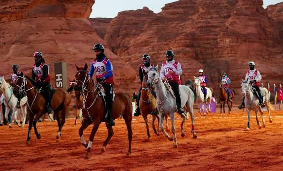 سباقات القدرة والتحمّل في السعودية تجمع المنافسة الرياضية وعراقة التراث