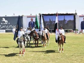 مهرجان الشرقية للخيول العربية الأصيلة ينطلق في دورته الثلاثين