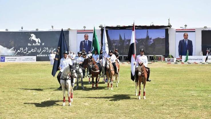 مهرجان الشرقية للخيول العربية الأصيلة ينطلق في دورته الثلاثين