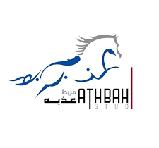 مربط عذبة.. حين تتحول أصالة الخيل السعودية إلى إنجاز عالمي