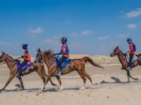 بوذيب تعتمد برنامج موسم القدرة الجديد وتفتح التسجيل للفرسان