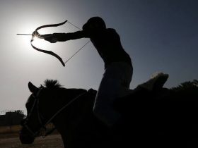 من السرج إلى الهدف.. دليلك لتعلّم الرماية على ظهور الخيل