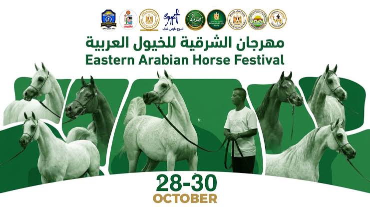مهرجان الشرقية للخيول العربية يختتم دورته الثلاثين في العاشر من رمضان