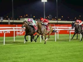 البحرين تطلق موسم اليوبيل الذهبي لسباقات الخيل بمشاركة 82 جواداً