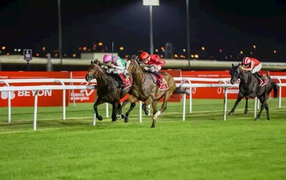 البحرين تطلق موسم اليوبيل الذهبي لسباقات الخيل بمشاركة 82 جواداً