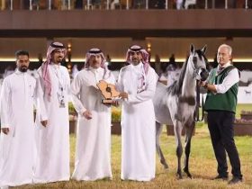 «نوف عذبة» تتوج بالذهب لمربط عذبة في بطولة جمال الخيل العربية
