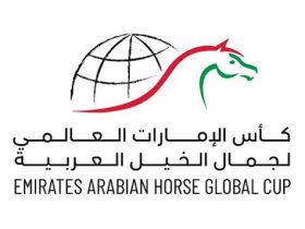 كأس الإمارات العالمي لجمال الخيل العربية يختتم جولته الخامسة في شنغهاي
