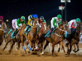 موسم سباقات الرياض.. ستة أشهر من التنافس ومبادرات جديدة لدعم الإنتاج المحلي